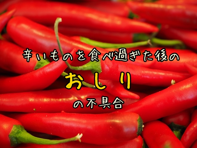 唐辛子好きなマレーシア人 辛いものの食べ過ぎでおしりが痒い 痛い さぁどうする マフィントップと唐辛子 唐辛子好きなマレーシア人 辛いものの食べ過ぎでおしりが痒い 痛い さぁどうする マフィントップと唐辛子