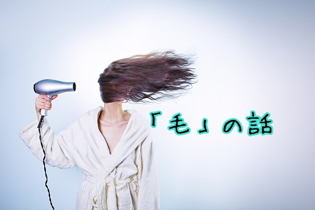 永久脱毛の向こう側 アンダーヘアのかつらは外国人男性と付き合っている女性の必須アイテムになるか マフィントップと唐辛子 永久脱毛の向こう側 アンダーヘアのかつらは外国人男性と付き合っている女性の必須アイテムになるか マフィントップと唐辛子