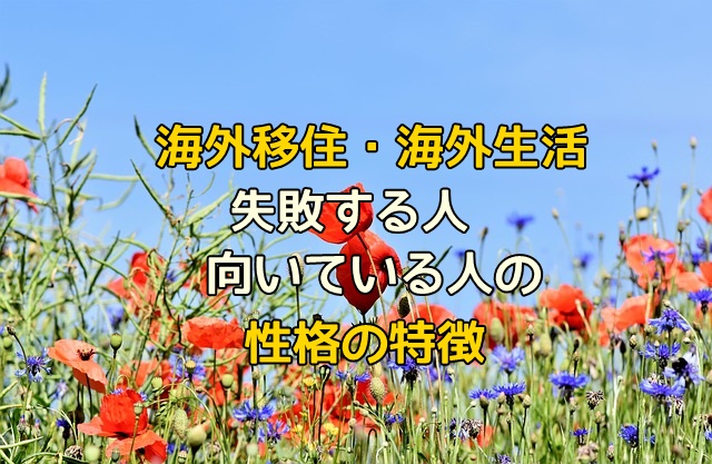 海外在住歴17年の私が思う海外移住に失敗する人 向いている人の特徴的な性格 マフィントップと唐辛子 海外在住歴17年の私が思う海外移住に失敗する人 向いている人の特徴的な性格 マフィントップと唐辛子
