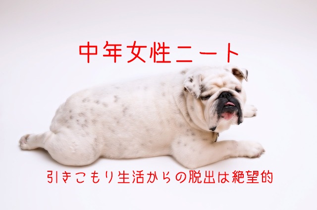 中年女性ニート歴2年 40代無職引きこもり生活からの脱出は絶望的 マフィントップと唐辛子 中年女性ニート歴2年 40代無職引きこもり生活からの脱出は絶望的 マフィントップと唐辛子