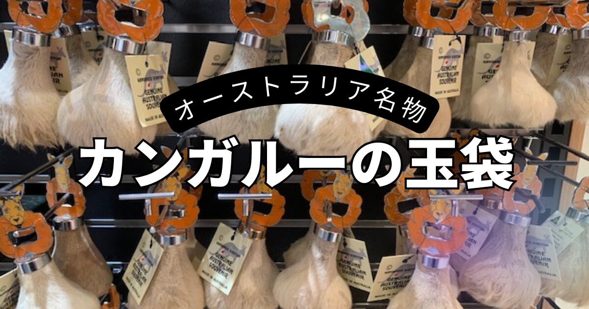 オーストラリア名物「カンガルーの玉袋グッズ」購入場所・価格・倫理的
